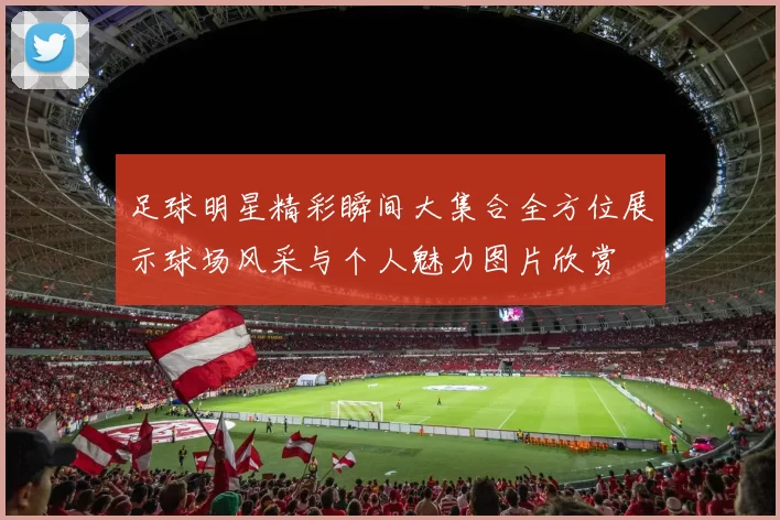 足球明星精彩瞬间大集合全方位展示球场风采与个人魅力图片欣赏