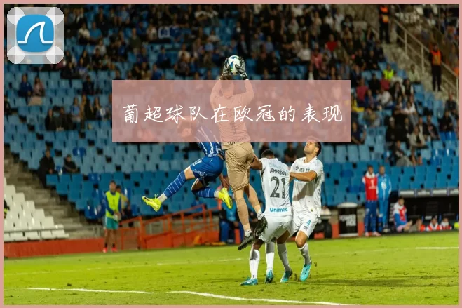 葡超球队在欧冠的表现