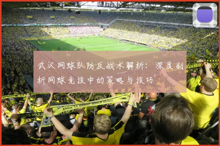 武汉网球队防反战术解析：深度剖析网球竞技中的策略与技巧