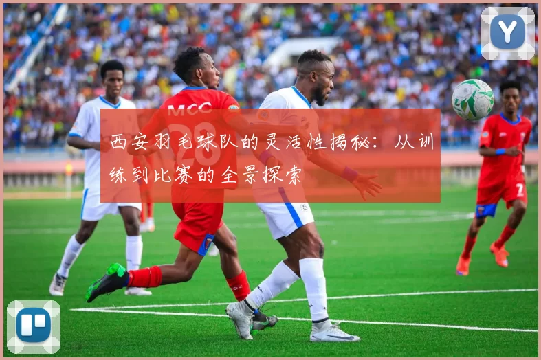 西安羽毛球队的灵活性揭秘：从训练到比赛的全景探索