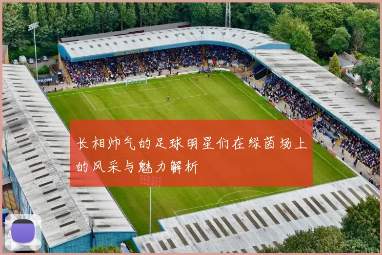 长相帅气的足球明星们在绿茵场上的风采与魅力解析