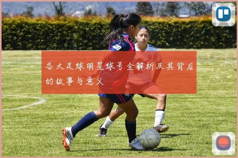 各大足球明星球号全解析及其背后的故事与意义