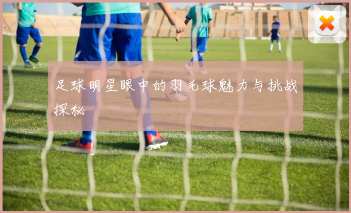 足球明星眼中的羽毛球魅力与挑战探秘