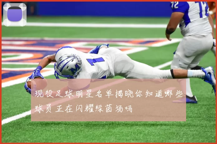 现役足球明星名单揭晓你知道哪些球员正在闪耀绿茵场吗