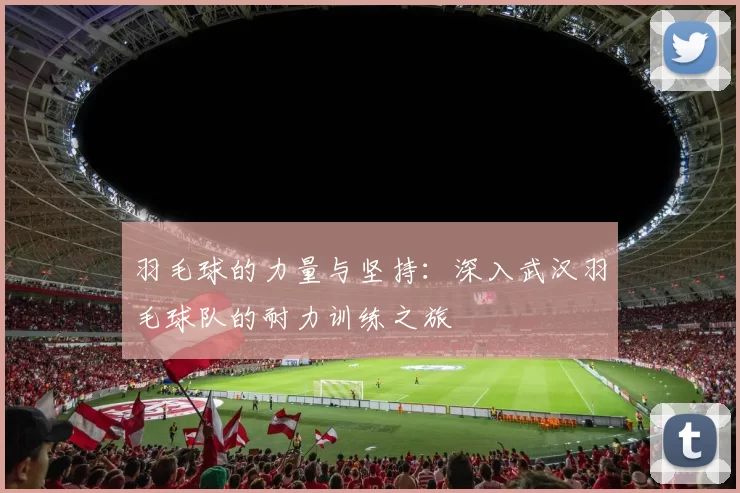 羽毛球的力量与坚持：深入武汉羽毛球队的耐力训练之旅