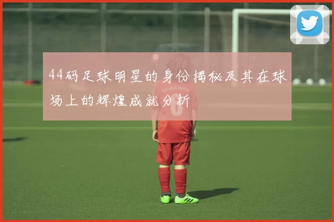 44码足球明星的身份揭秘及其在球场上的辉煌成就分析