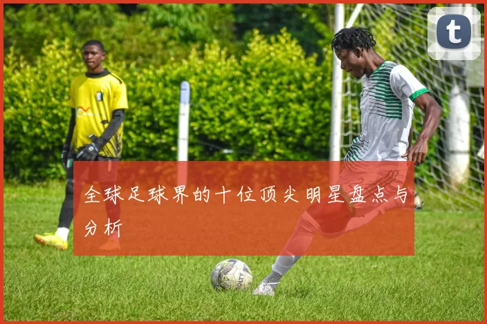 全球足球界的十位顶尖明星盘点与分析