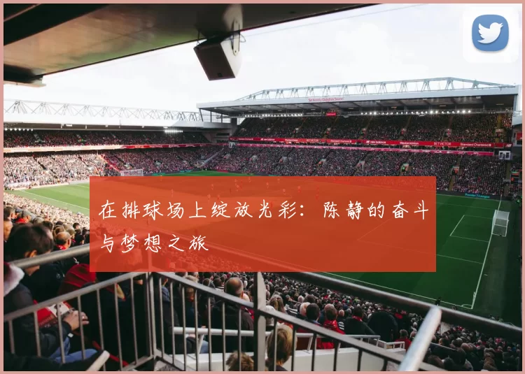 在排球场上绽放光彩：陈静的奋斗与梦想之旅