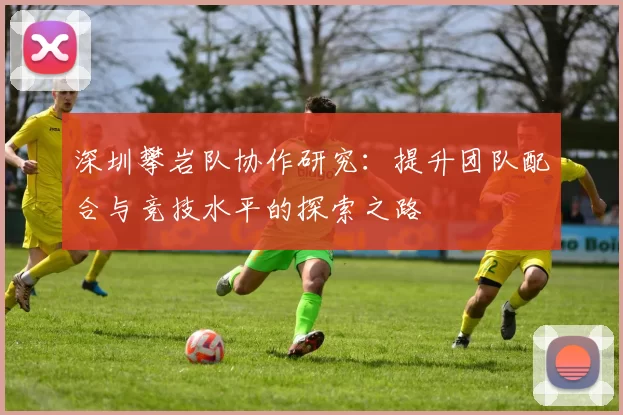 深圳攀岩队协作研究：提升团队配合与竞技水平的探索之路