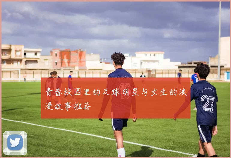 青春校园里的足球明星与女生的浪漫故事推荐
