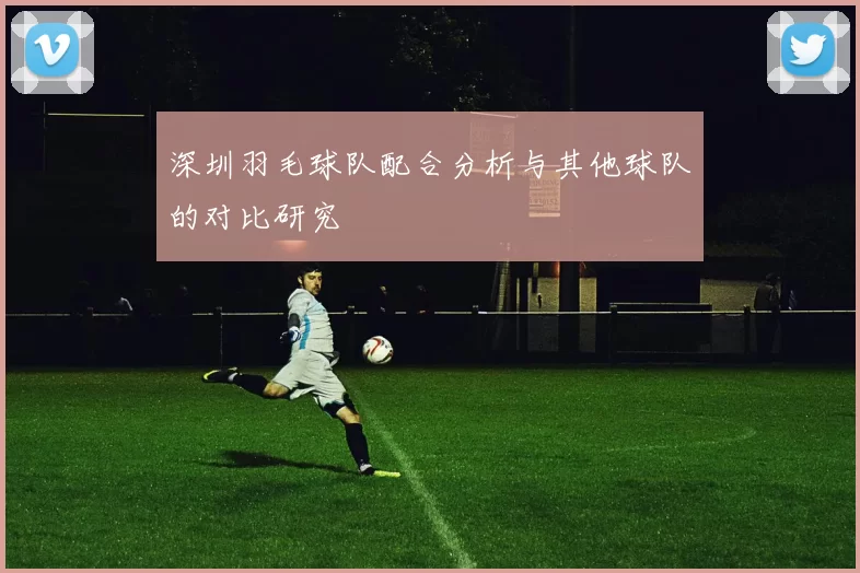 深圳羽毛球队配合分析与其他球队的对比研究