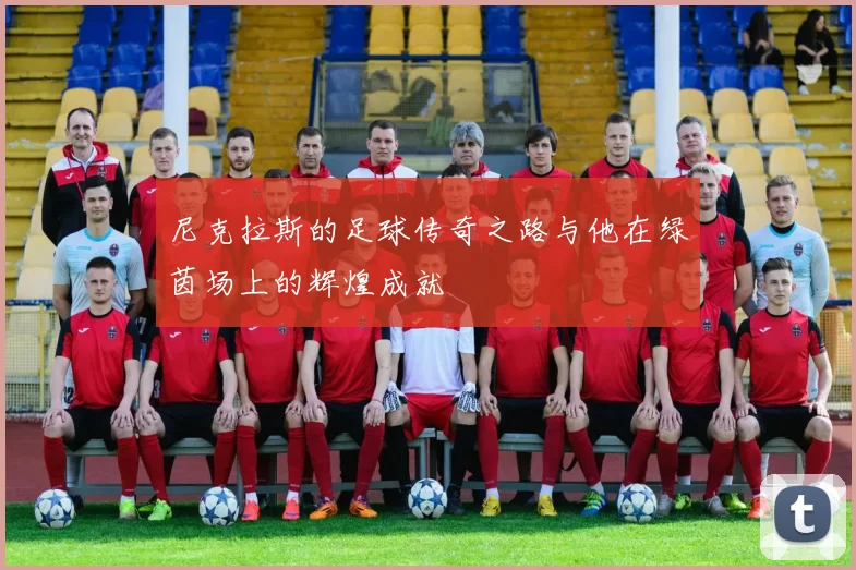 尼克拉斯的足球传奇之路与他在绿茵场上的辉煌成就