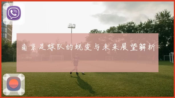 南京足球队的蜕变与未来展望解析