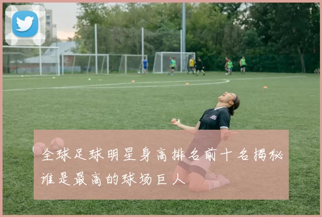 全球足球明星身高排名前十名揭秘谁是最高的球场巨人