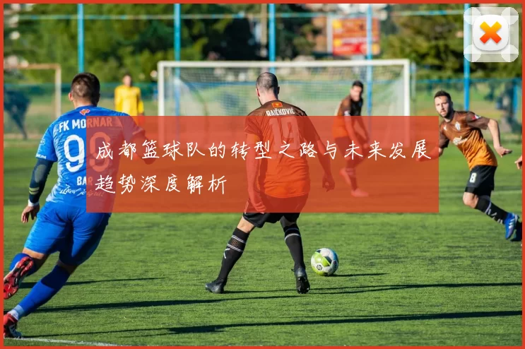 成都篮球队的转型之路与未来发展趋势深度解析