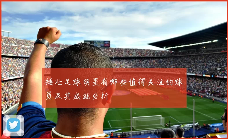 矮壮足球明星有哪些值得关注的球员及其成就分析