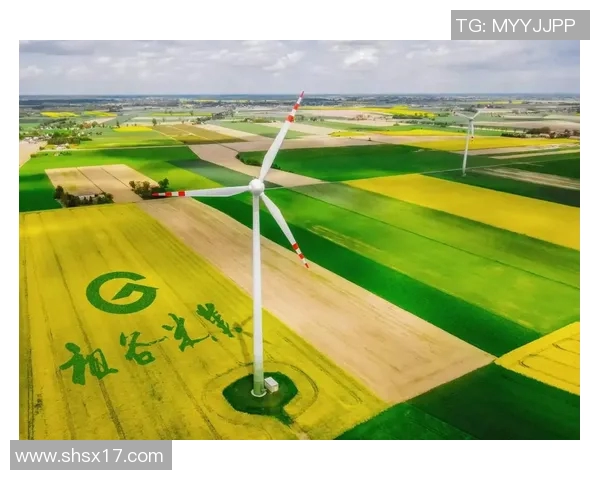 大米种植:助力农业现代化转型升级